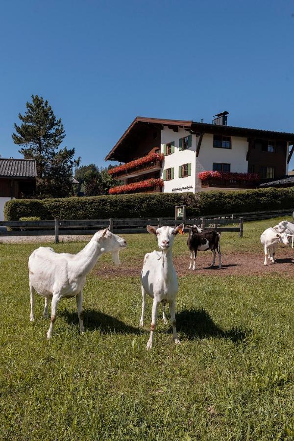 Gaestehaus Bramboeck Bad Häring Exterior foto